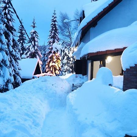 Uki & Sofi Mountain House Hotel Kopaonik Luaran gambar