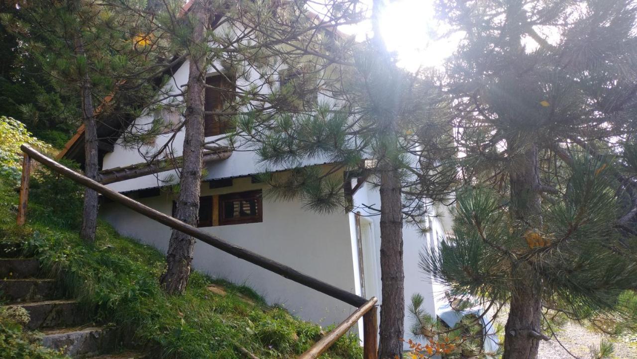 Uki & Sofi Mountain House Hotel Kopaonik Luaran gambar