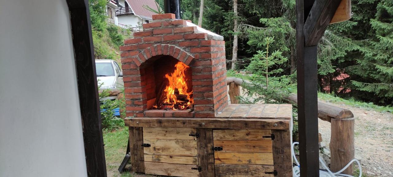 Uki & Sofi Mountain House Hotel Kopaonik Luaran gambar