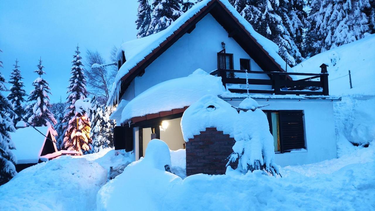 Uki & Sofi Mountain House Hotel Kopaonik Luaran gambar