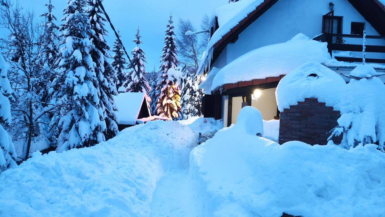 Uki & Sofi Mountain House Hotel Kopaonik Luaran gambar