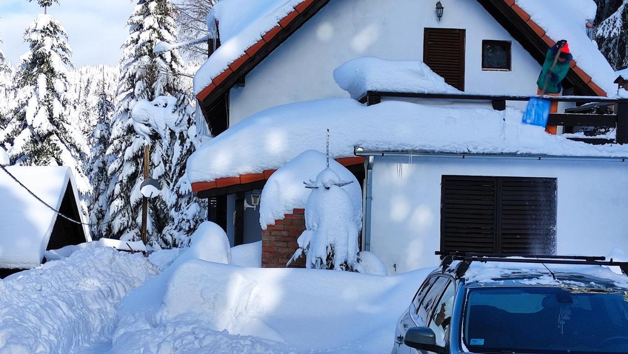Uki & Sofi Mountain House Hotel Kopaonik Luaran gambar