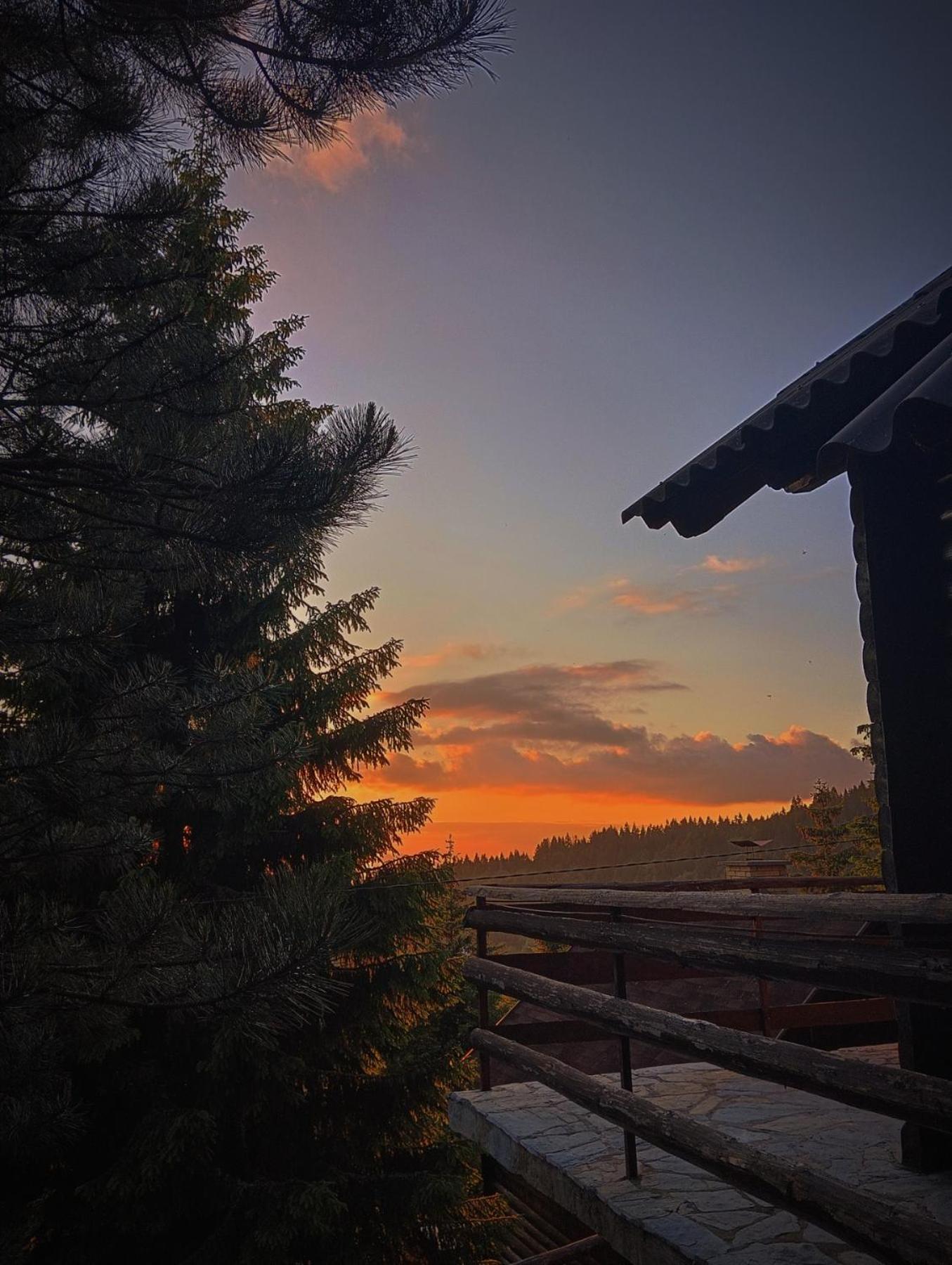 Uki & Sofi Mountain House Hotel Kopaonik Luaran gambar