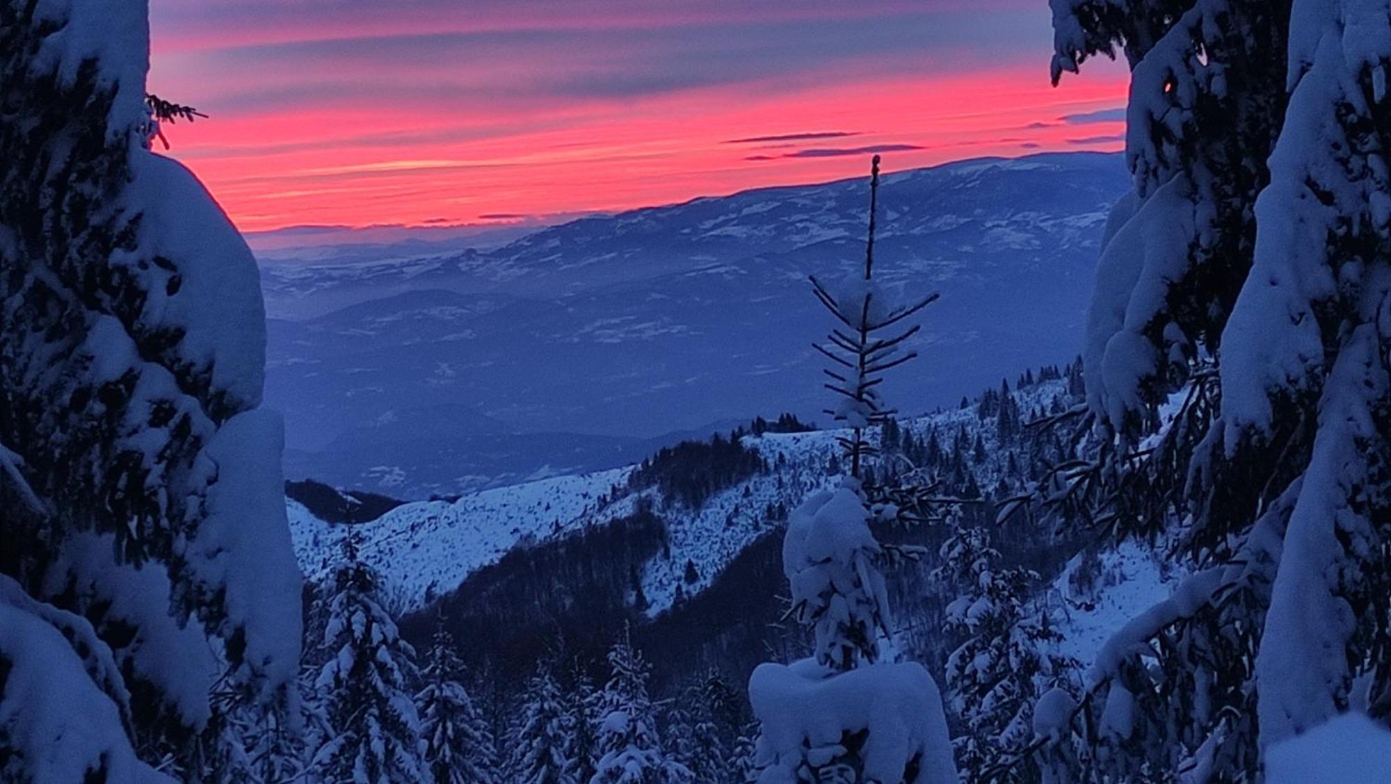 Uki & Sofi Mountain House Hotel Kopaonik Luaran gambar