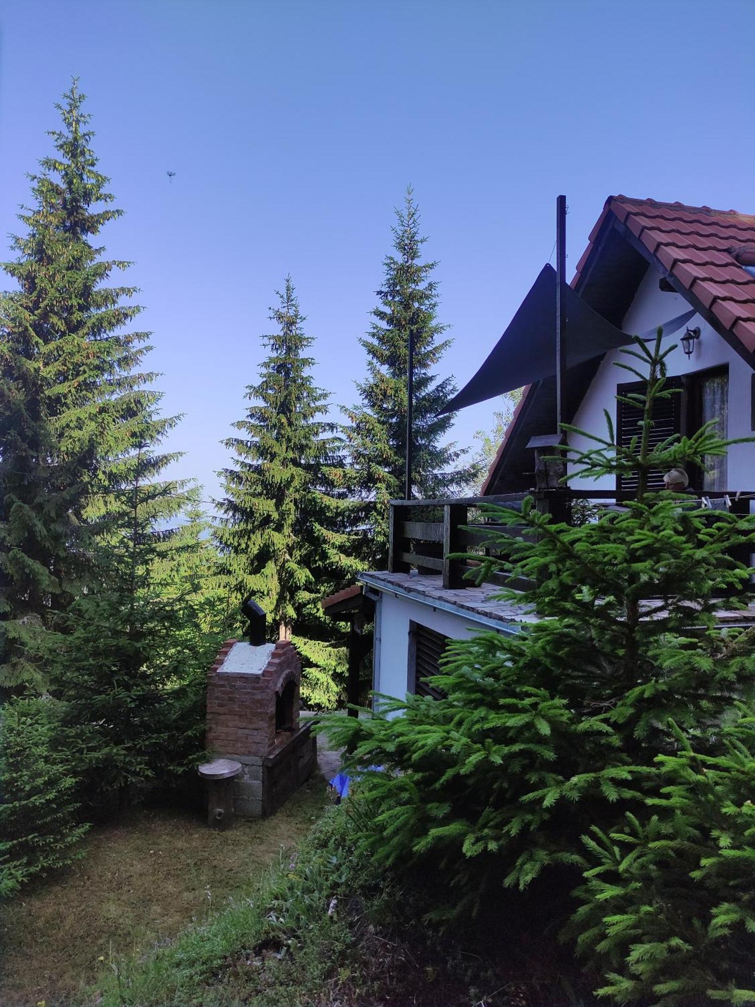 Uki & Sofi Mountain House Hotel Kopaonik Bilik gambar