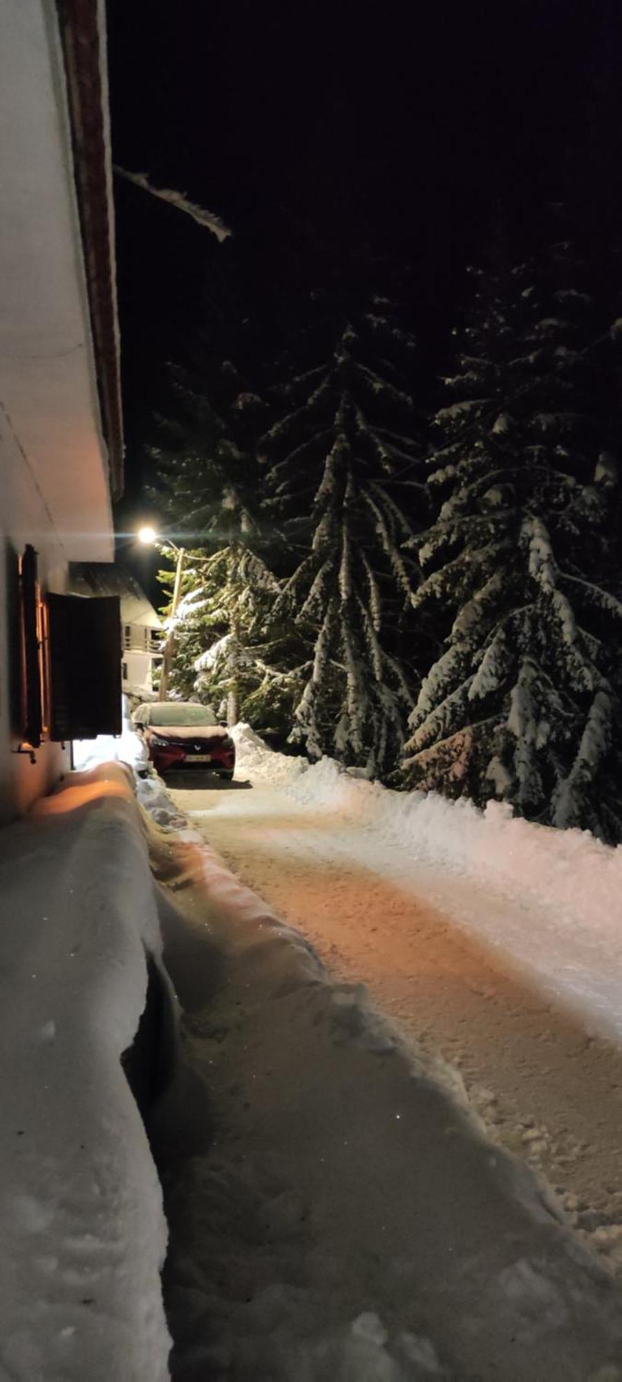 Uki & Sofi Mountain House Hotel Kopaonik Luaran gambar