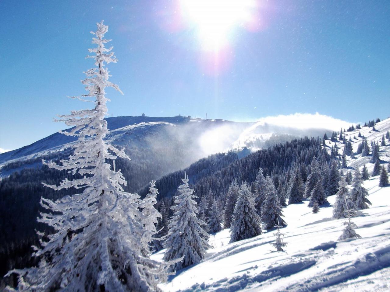 Uki & Sofi Mountain House Hotel Kopaonik Luaran gambar