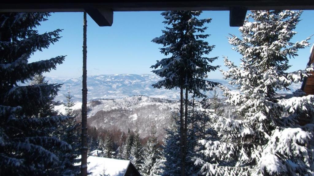 Uki & Sofi Mountain House Hotel Kopaonik Luaran gambar